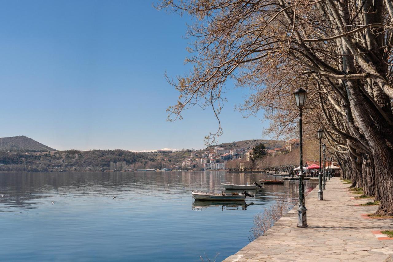 Αρχοντικό Κίτσου - Boutique Hotel Kastoria Exterior foto